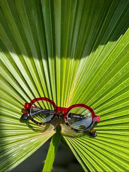 Red sunglasses on palm leaf